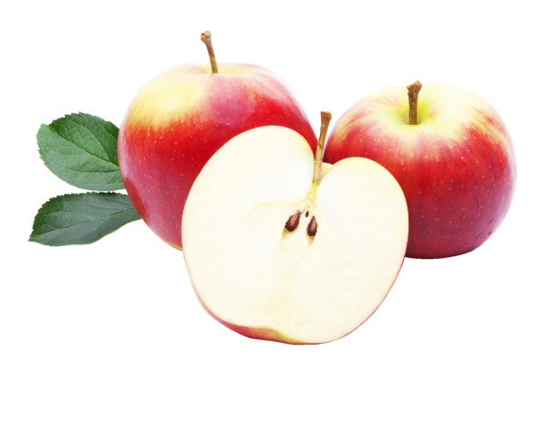 Apfel : Äpfel, allgemein eine pflanzengattung (malus) von