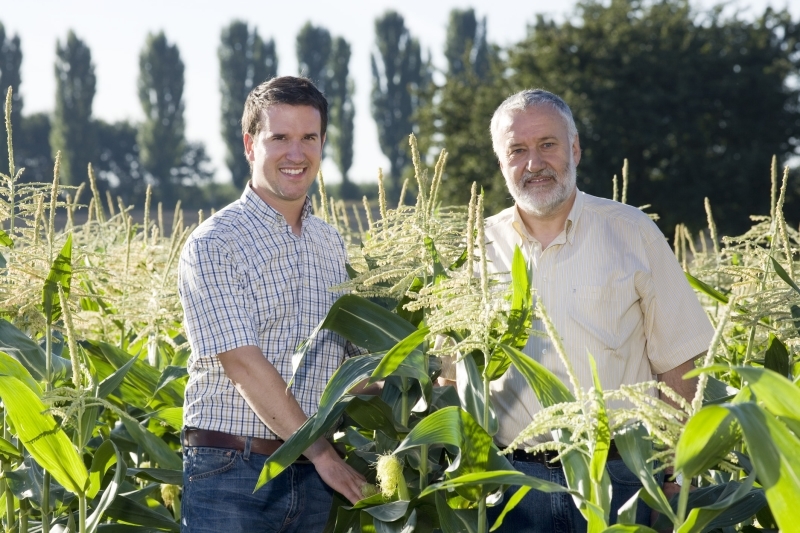 Hans-Ulrich Bletscher Landwirtschaft "Lamprechtshof"