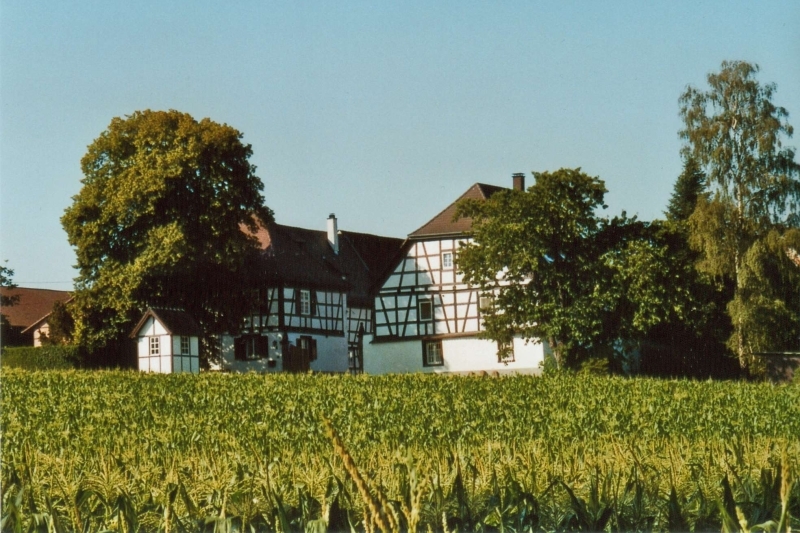 Hans-Ulrich Bletscher Landwirtschaft "Lamprechtshof"